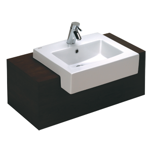 American Standard Basin & Lavatory