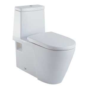 American Standard Toilet & Squat