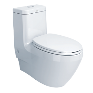 American Standard Toilet & Squat