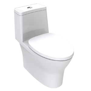 American Standard Toilet & Squat