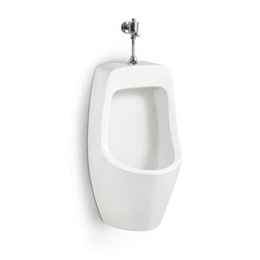 Tomato Toilet & Squat