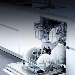 Products - Dishwasher