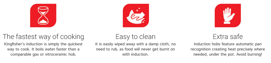 Kingfisher Hob - Burst of Cooking